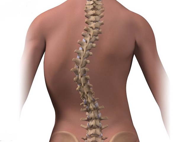 SPINAL CURVATURE contraindications In beauty therapy